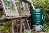Comment récupérer l’eau de pluie et l’utiliser pour son jardin